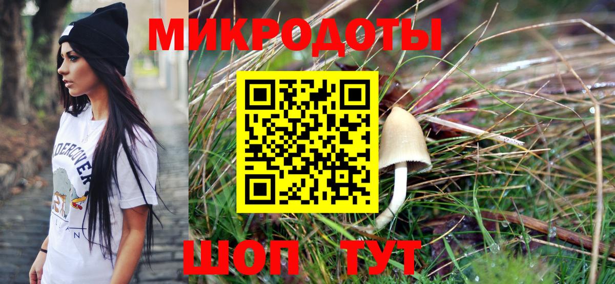 Псилоцибиновые грибы Cubensis Будённовск