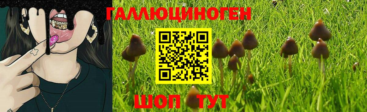 Галлюциногенные грибы мицелий  Псилоцибиновые грибы Psilocybine cubensis  Будённовск  Вход с VPN 